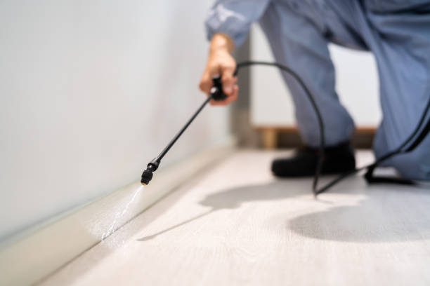 Licensed Termite Control service in Garland County County, AR - Nex Pest Control