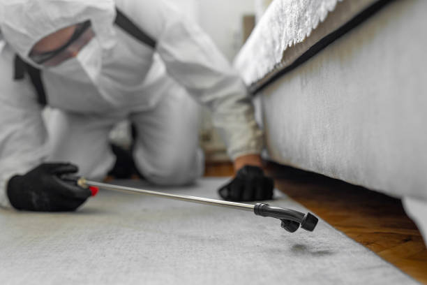 Professional Termite Control technician working in Garland County County, AR